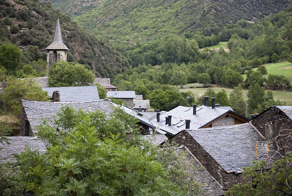 Reforma fem reformes de façanes, interiors d'habitatges (cuines, banys, paviments, etc.). Habitatge a Andorra la Vella. Arranjament de parets riu Valira. Reforma de Borda típica per fer turisme rural. Canvi de banyera per plat de dutxa adaptació de banys per a persones amb baixa mobilitat o mobilitat reduïda. Rejuntades de parets de pedra per evitar el salnitre. Canvi de peces de gres o renovació de gres. Canvi de teules de pissarra, renovació de teulats de pissarra, reparació de goteres. Canvi de canal ceràmica per un d'alumini a Sispony. Sostre de pissarra a Borda típica d'Anyós. Aplacat de totxo massís a pilar existent. Arranjament de voladís de formigó vist per armadures oxidades a Sant Júlia de Lòria. Col·locació d'aïllament tèrmic i acústic a coberta vella existent. Canvi de tortugades al Centre històric d'Andorra la Vella (La tortugada és una canalera feta de tortugues (teules tortugues) que es posa al capdavall d'un vessant de teulada i a tot el llarg d'ella per rebre'n l'aigua de pluja i conduir-la a una canonada). Treballs d'acabats de coberta amb llosa de pissarra. Reforma i aïllament de façana amb el sistema Sape a Escaldes Engordany.